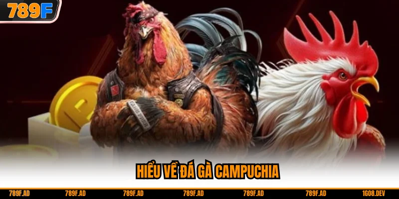 Hiểu về đá gà Campuchia