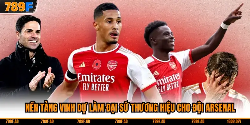 Nền tảng vinh dự làm đại sứ thương hiệu cho đội Arsenal